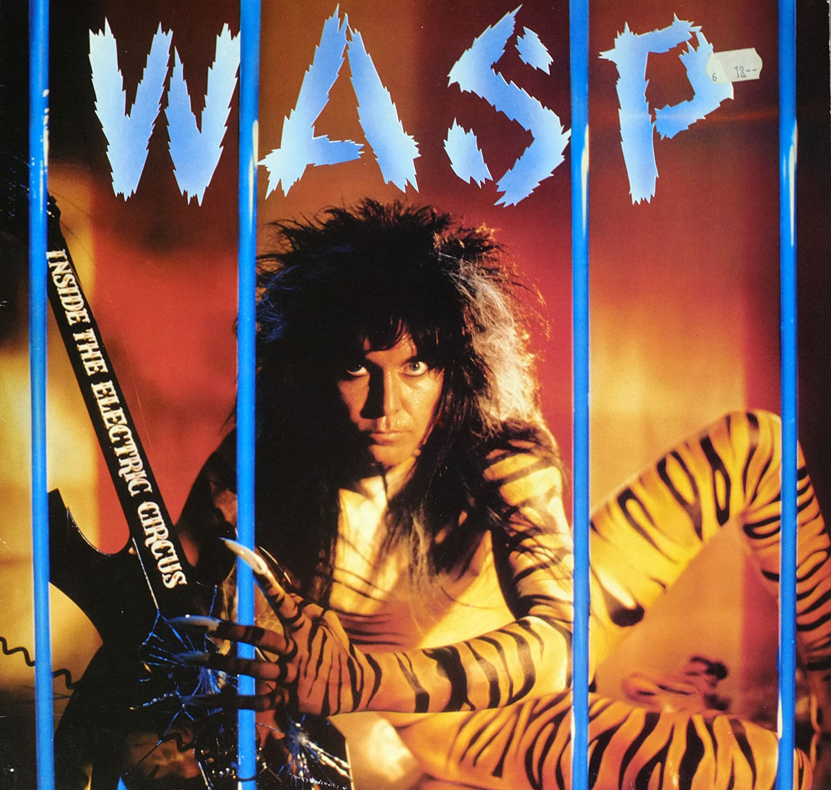 High Resolution Photos of wasp inside electric circus 